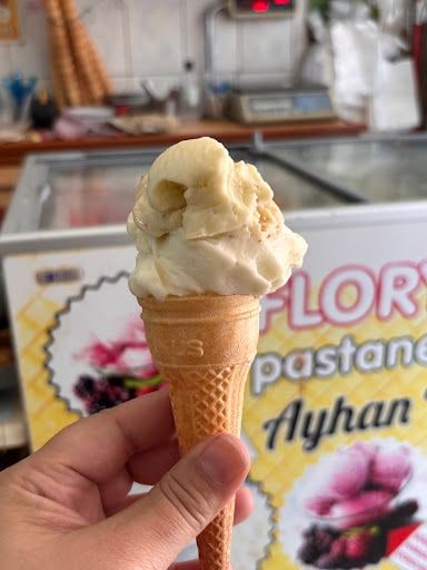 Fotoğraf 17