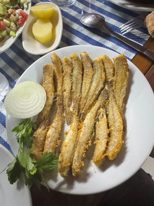 Yorum fotoğrafı 4