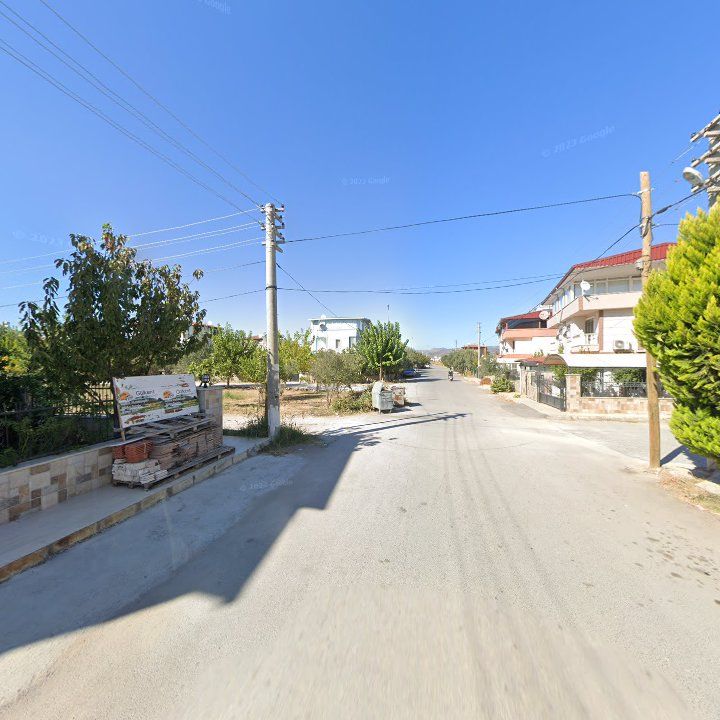 Fotoğraf 7