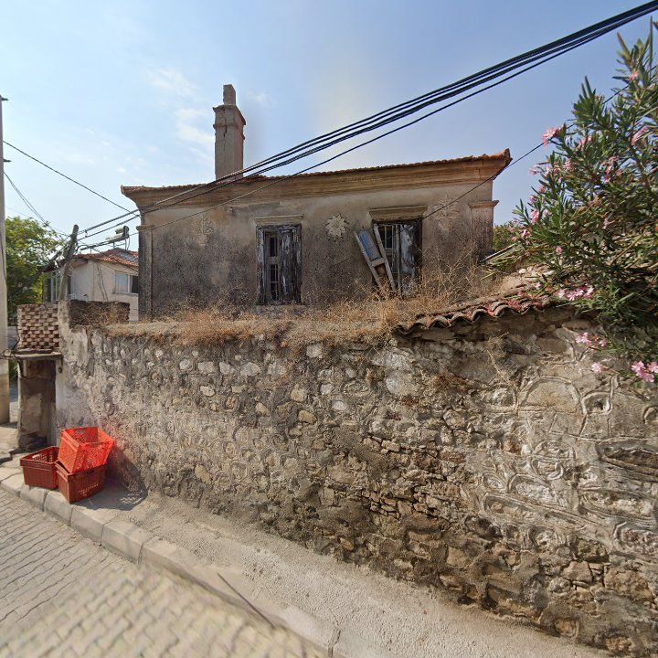 Fotoğraf 9