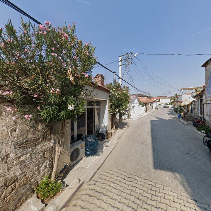Fotoğraf 6