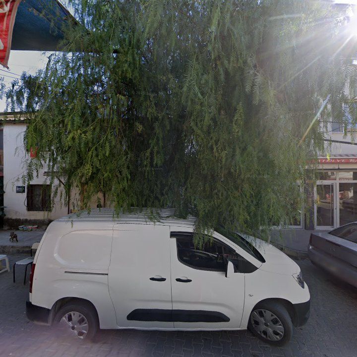 Fotoğraf 9