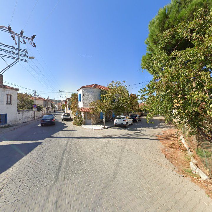 Fotoğraf 9