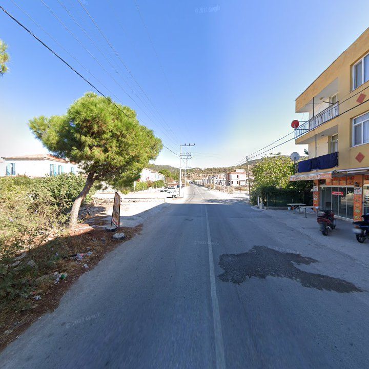 Fotoğraf 9