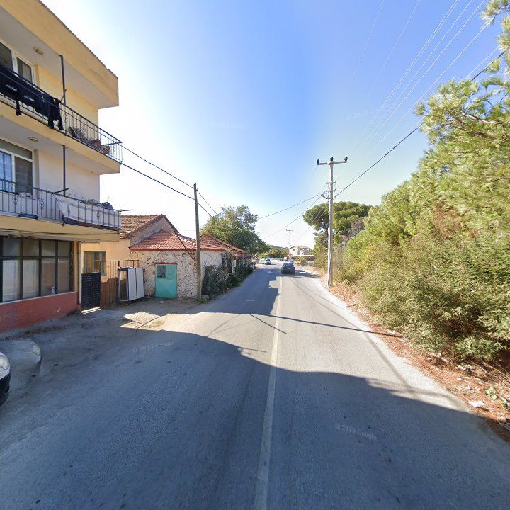 Fotoğraf 7