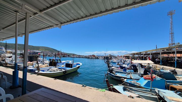 Fotoğraf 24