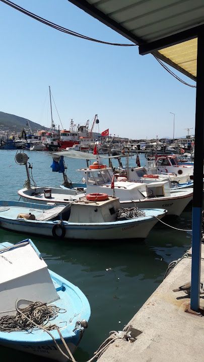 Yorum fotoğrafı 2
