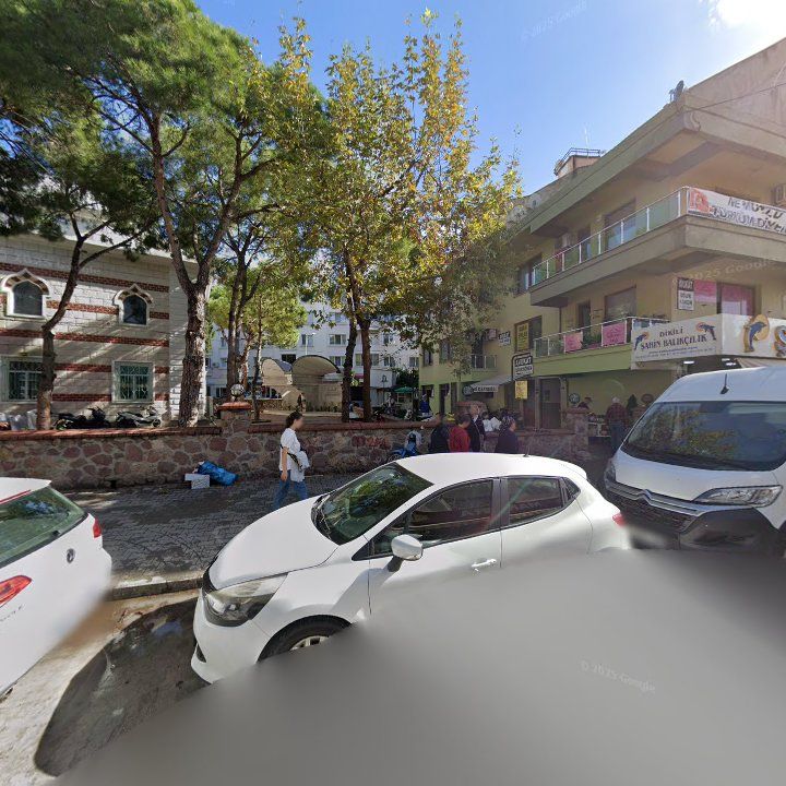 Fotoğraf 6