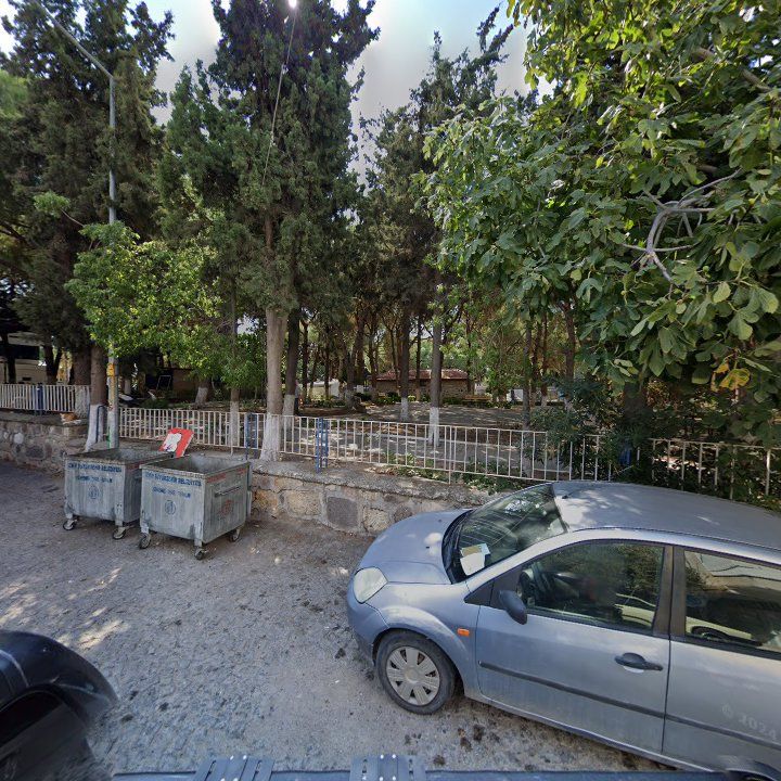 Fotoğraf 6