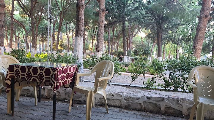 Çamlaraltı aile çay bahçesi