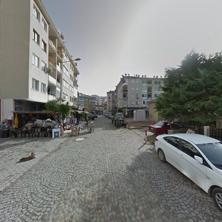 Fotoğraf 3