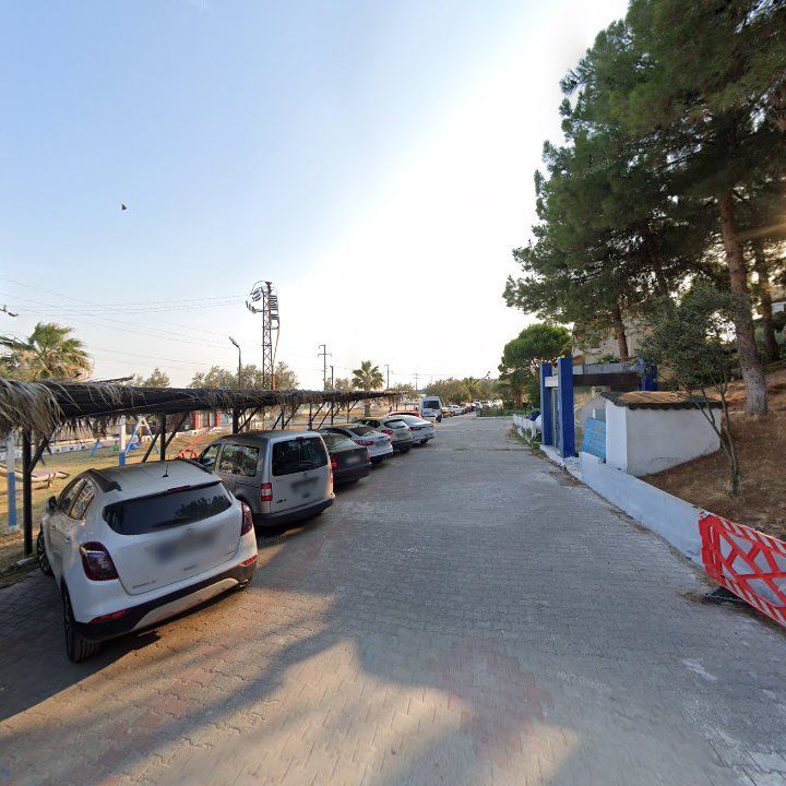 Fotoğraf 8