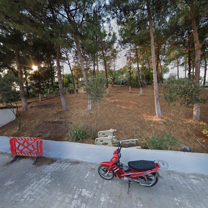 Fotoğraf 9