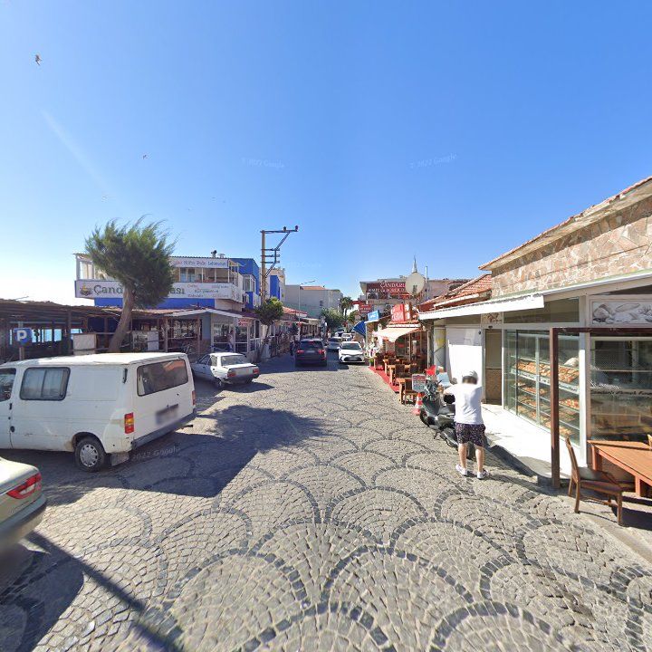 Fotoğraf 7
