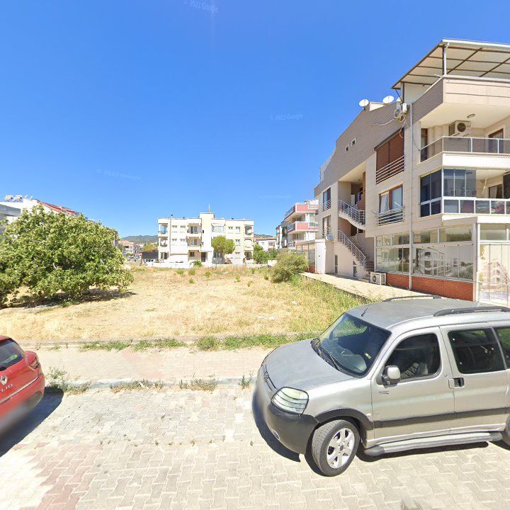Fotoğraf 8