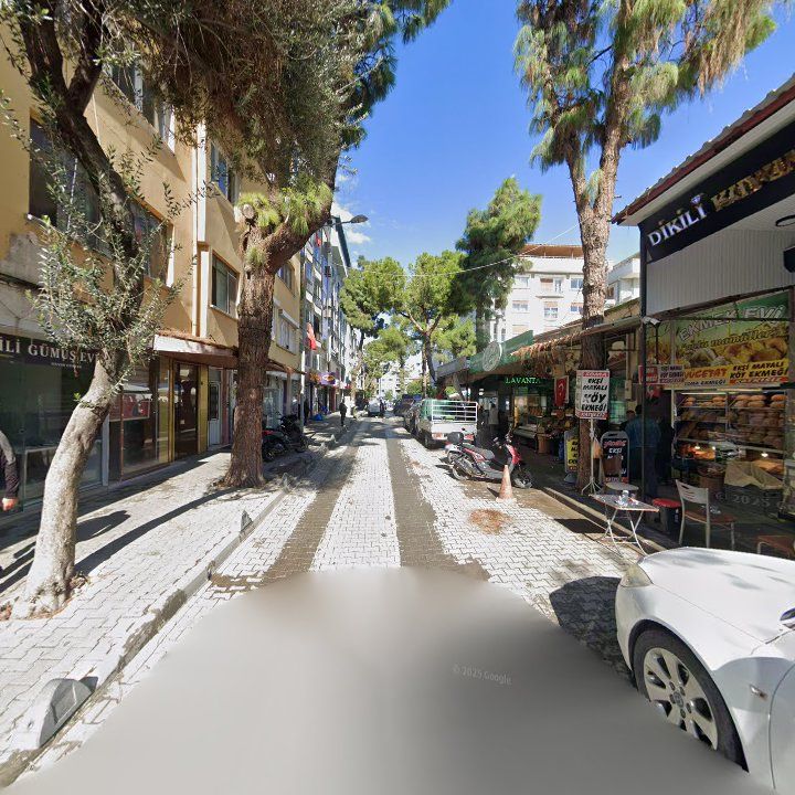 Fotoğraf 11