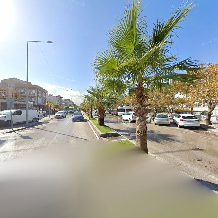 Fotoğraf 12