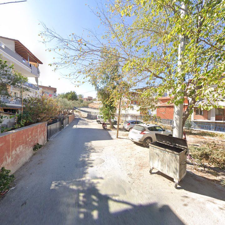 Fotoğraf 8