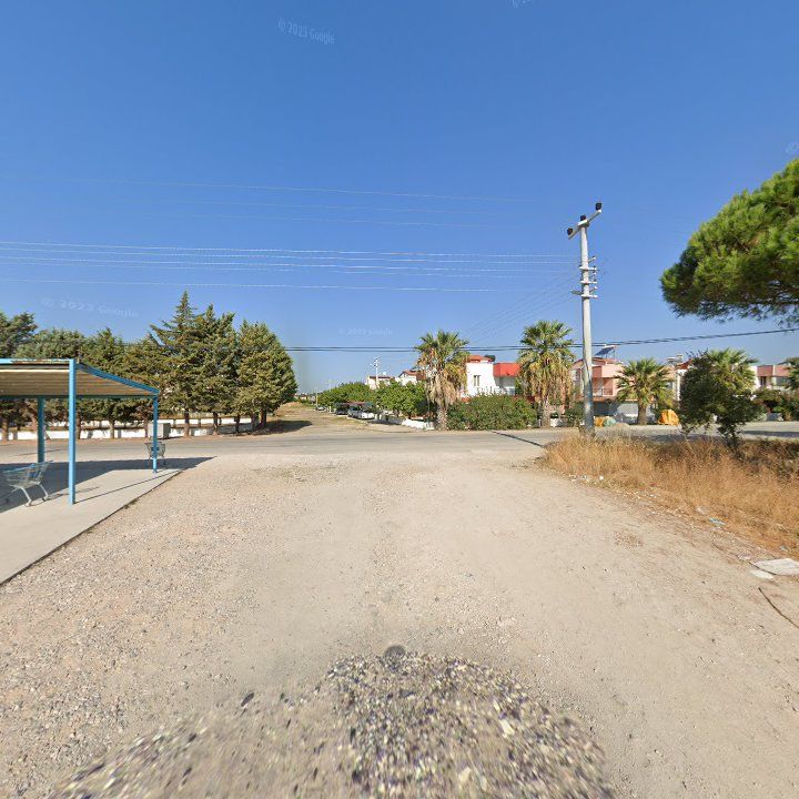 Fotoğraf 7