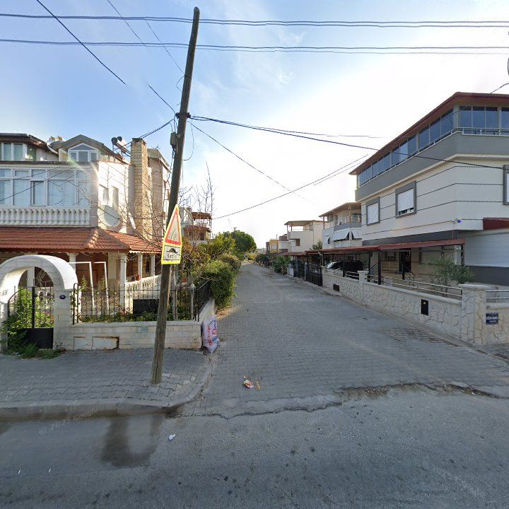 Fotoğraf 10