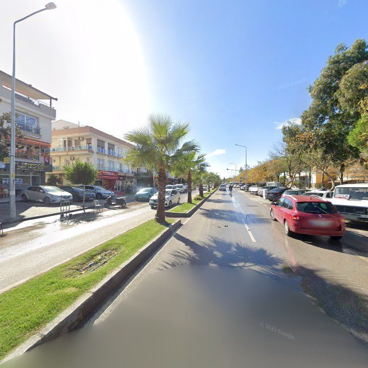 Fotoğraf 10
