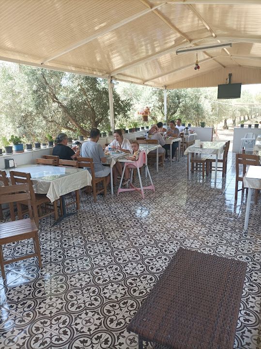 Hanife Ananın Yeri Zeytinli Bahçe