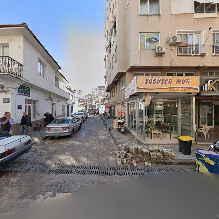 Fotoğraf 6