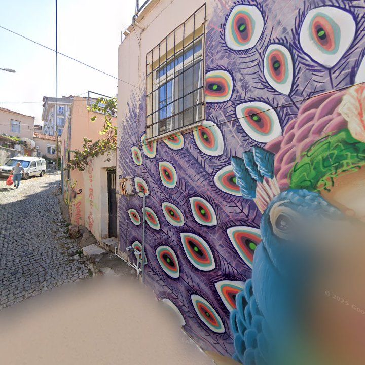 Fotoğraf 12