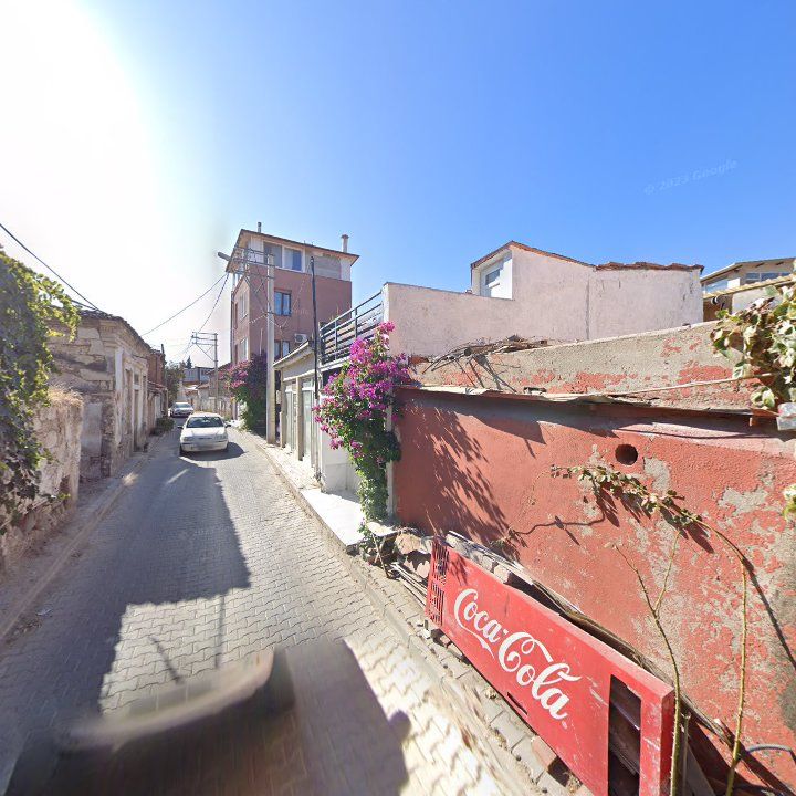 Fotoğraf 12