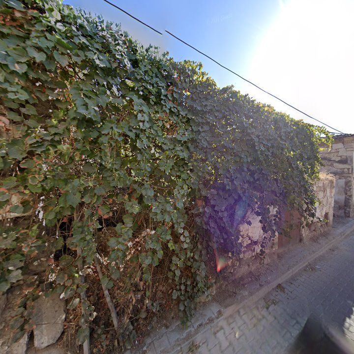 Fotoğraf 11