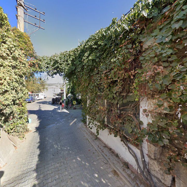 Fotoğraf 10