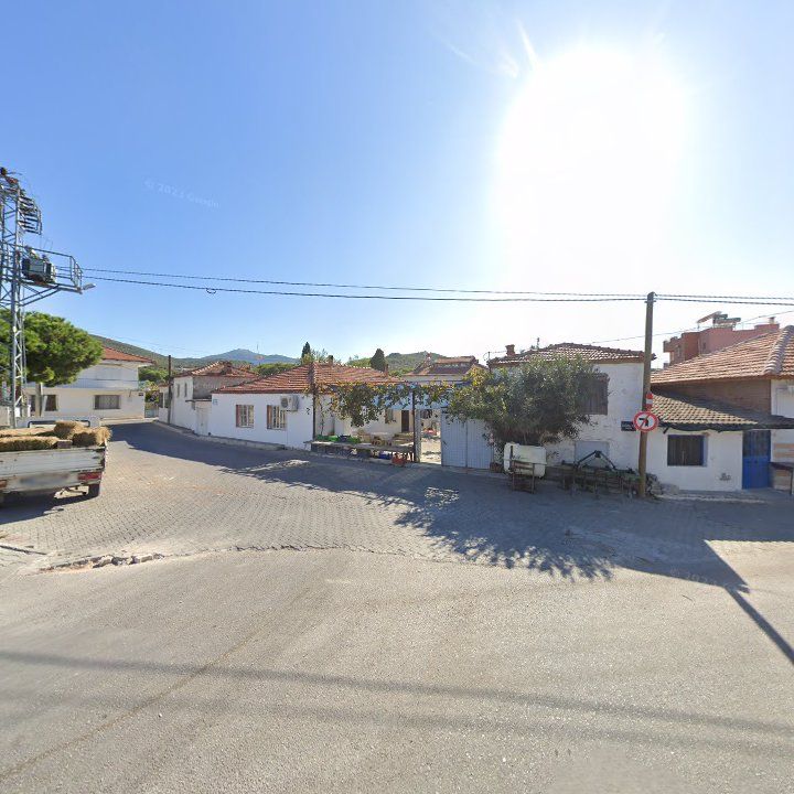 Fotoğraf 9