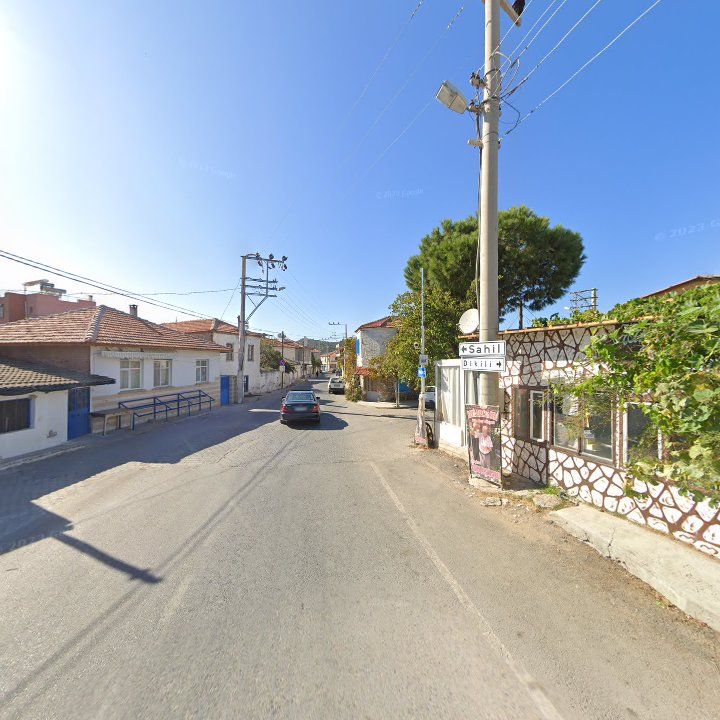 Fotoğraf 10