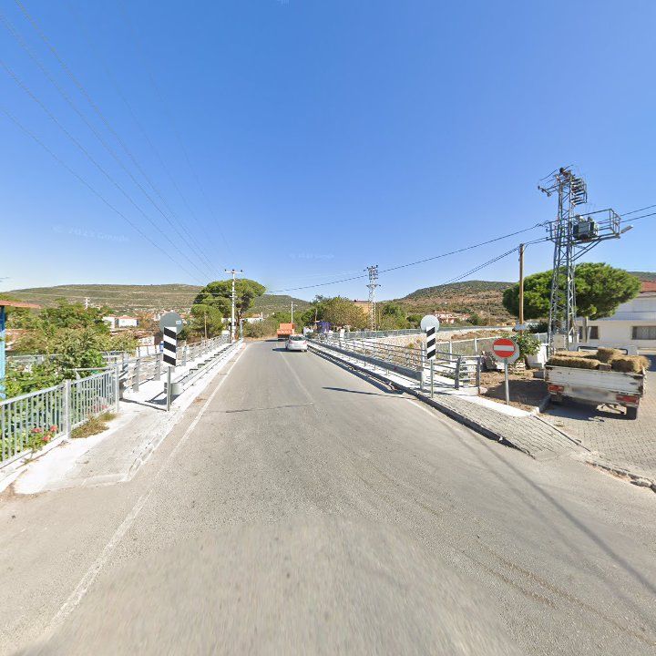 Fotoğraf 8