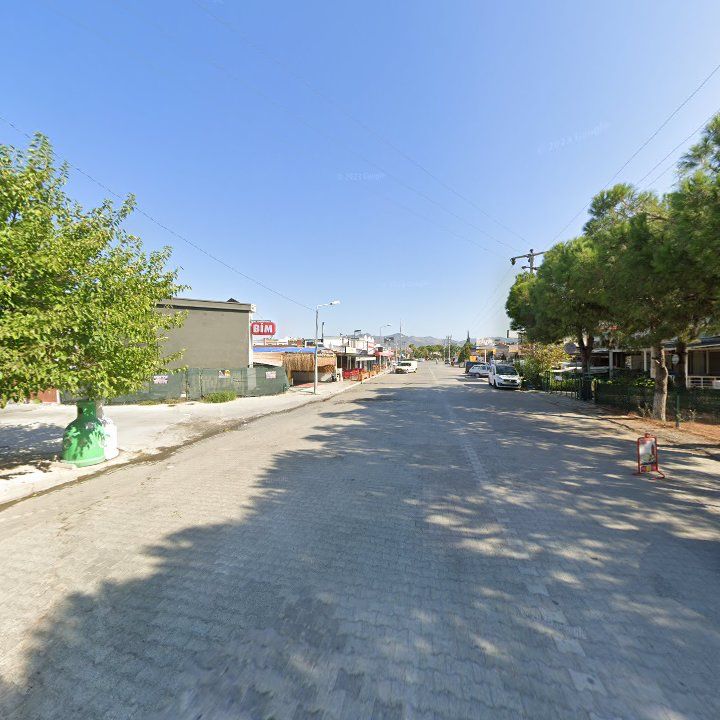 Fotoğraf 11