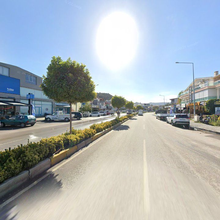Fotoğraf 10