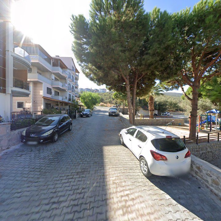 Fotoğraf 7
