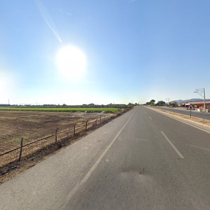 Fotoğraf 13