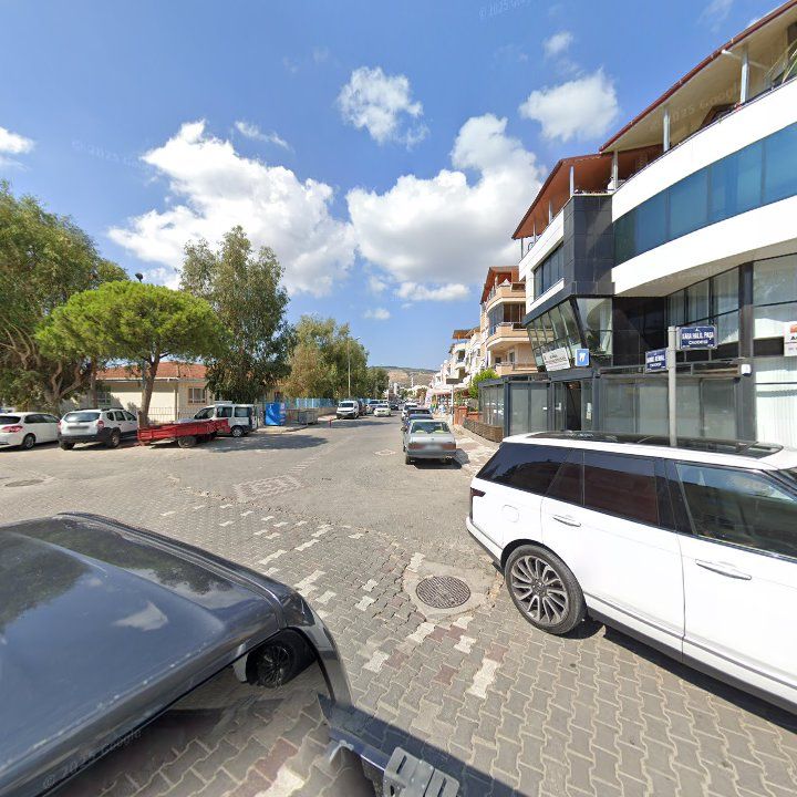Fotoğraf 11