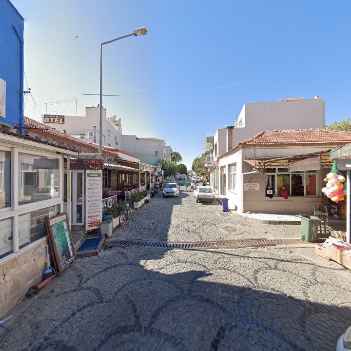 Fotoğraf 11