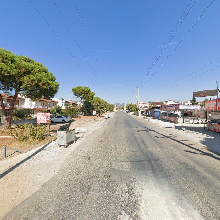 Fotoğraf 10