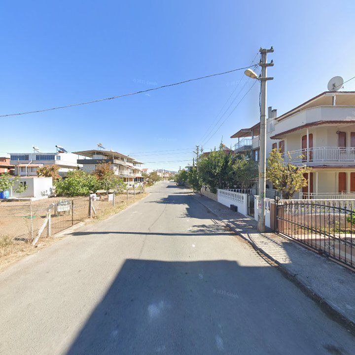 Fotoğraf 8