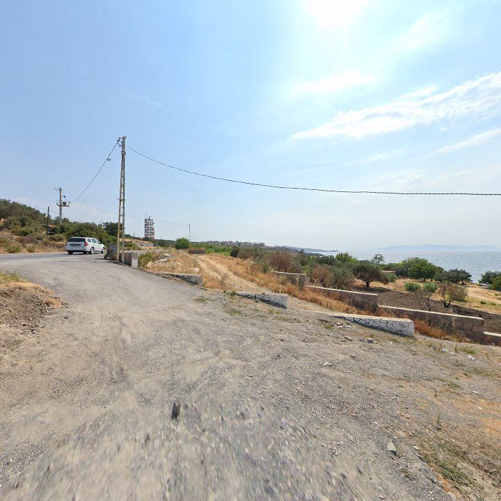 Fotoğraf 10