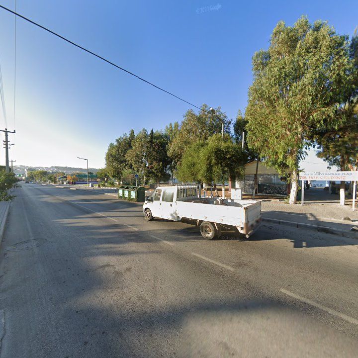 Fotoğraf 9
