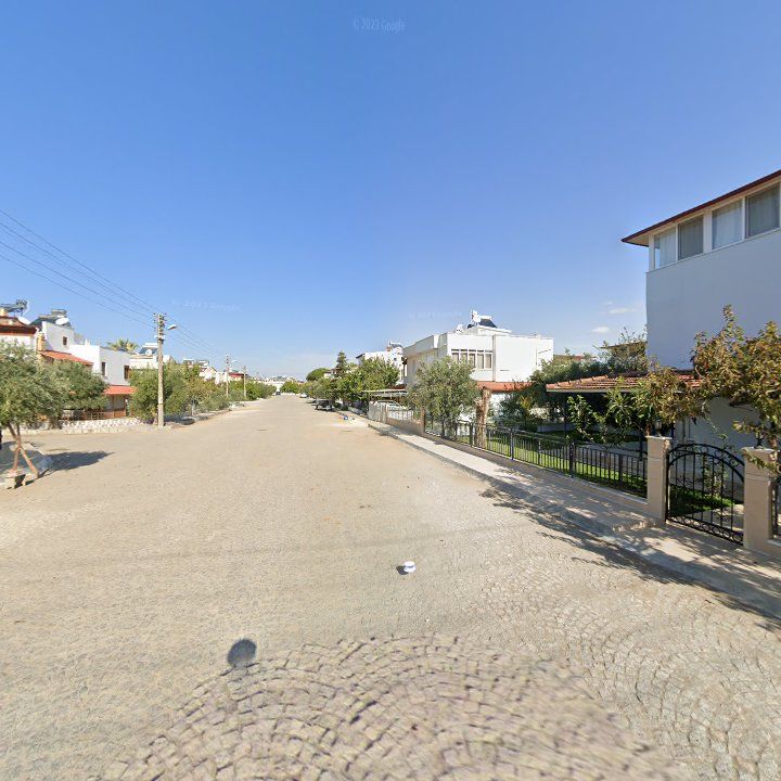 Fotoğraf 12