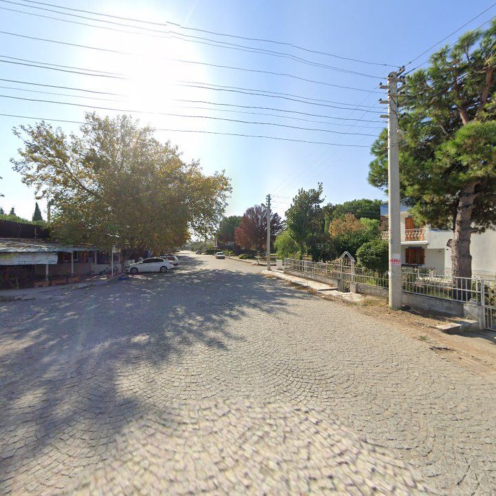 Fotoğraf 10