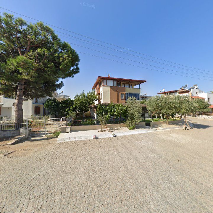 Fotoğraf 11