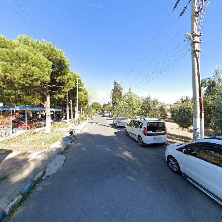 Fotoğraf 3
