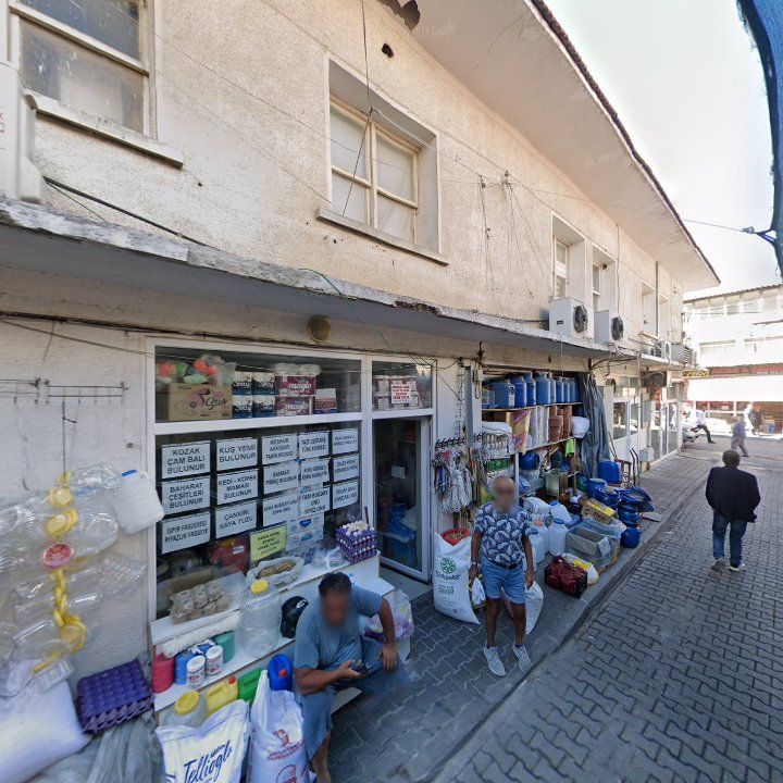 Fotoğraf 14