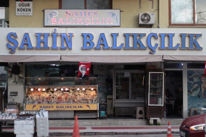 Şahin Balıkçılık